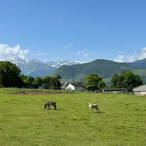  Camping Mobil-home Cosy, Calme, Therme, Aquensis, Casino